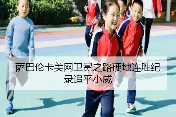 sa-ba-lun-ka-mei-wang-wei-mian-zhi-lu-ying-di-lian-sheng-ji-lu-zhui-ping-xiao-wei-2-885.jpg