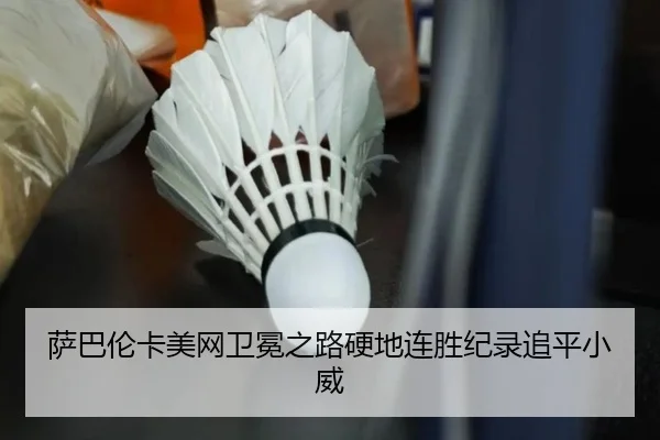 萨巴伦卡美网卫冕之路硬地连胜纪录追平小威